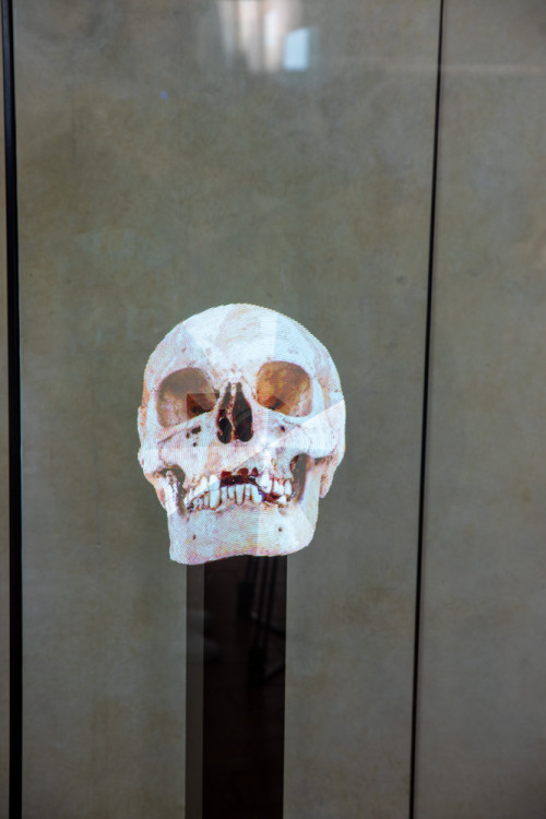 FOTOGALERIE: Výstava představuje podobu olomouckých Přemyslovců