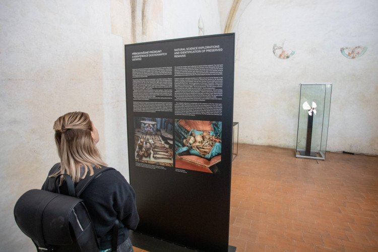 FOTOGALERIE: Výstava představuje podobu olomouckých Přemyslovců