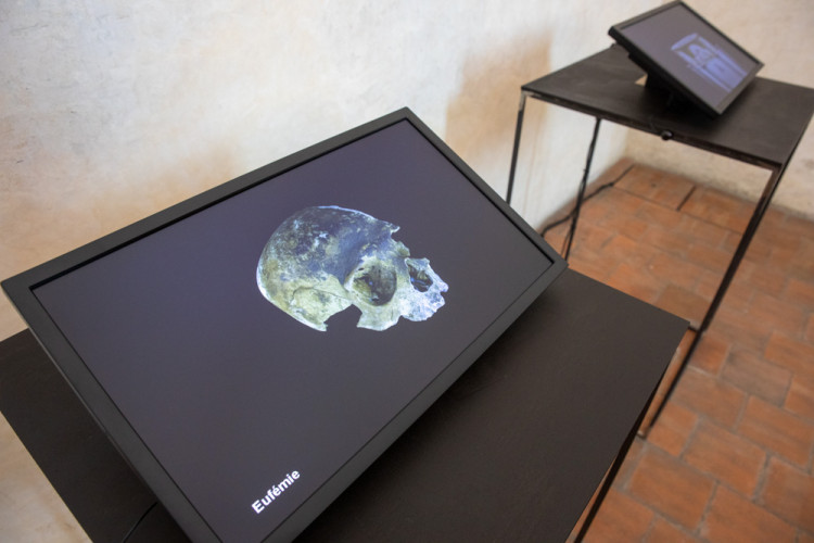 FOTOGALERIE: Výstava představuje podobu olomouckých Přemyslovců