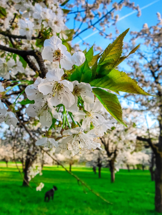 FOTOGALERIE: Důl, studánka, vyhlídkové místo s lehátkem a venkovní geologická expozice