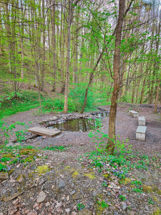 FOTOGALERIE: Důl, studánka, vyhlídkové místo s lehátkem a venkovní geologická expozice