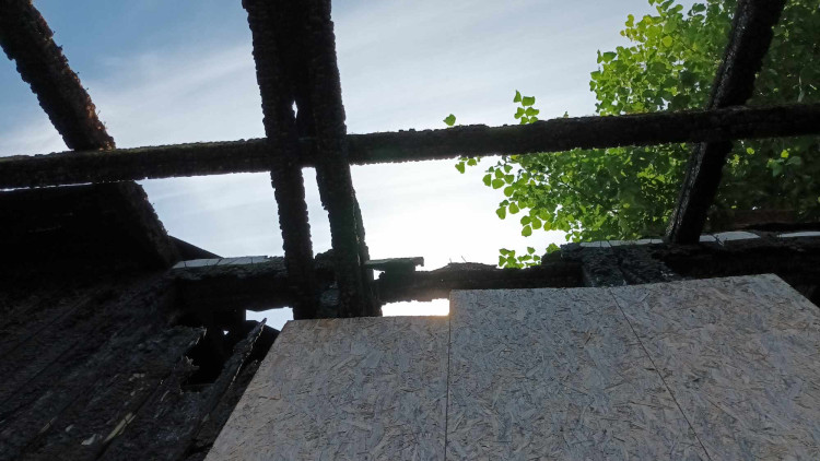 FOTOGALERIE: Správa železnic nechala místní nádraží v Prostějově zpustnout. Nyní ji převezme město