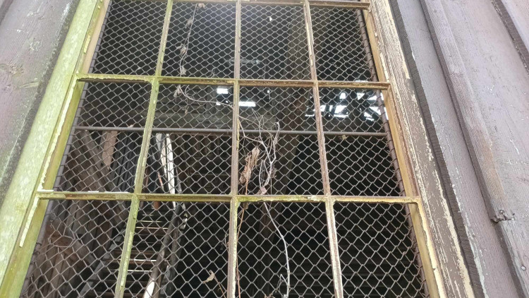 FOTOGALERIE: Správa železnic nechala místní nádraží v Prostějově zpustnout. Nyní ji převezme město