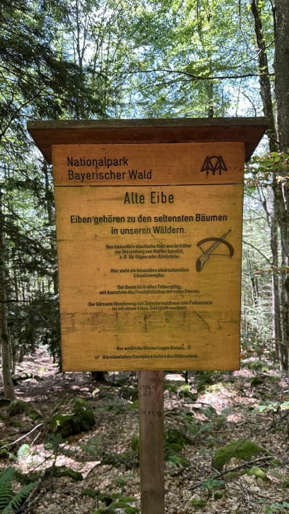 Infotabule u Starého tisu