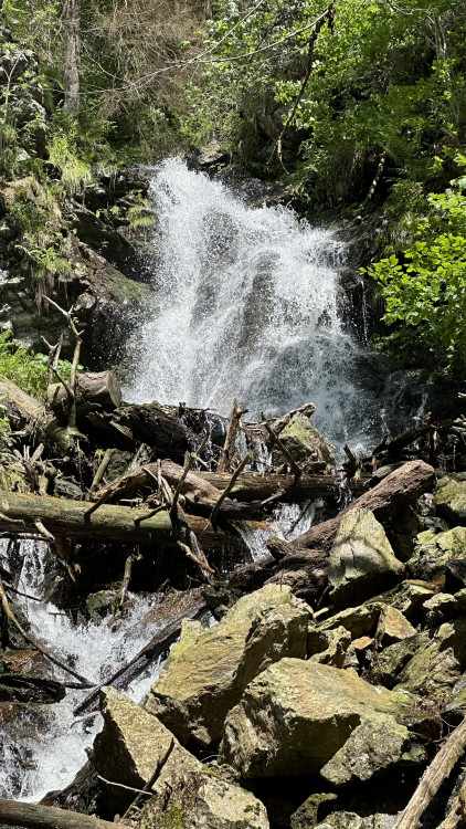 Naprosto nádherný vodopád uprostřed divokého pralesa Höllbachgspreng navštívíte těsně po překonání česko-německé hranice pod vrcholem hory Falkenstein