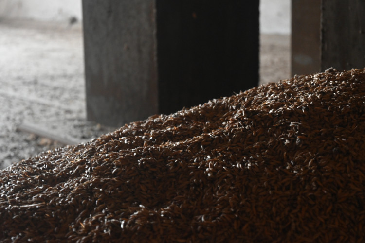 Location Tour 2024 v Jihlavě