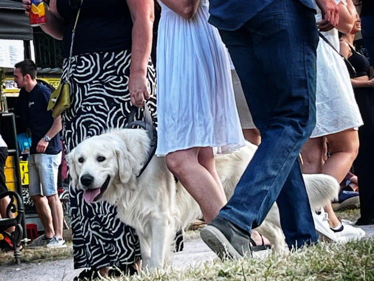 Mezinárodní divadelní festival REGIONY