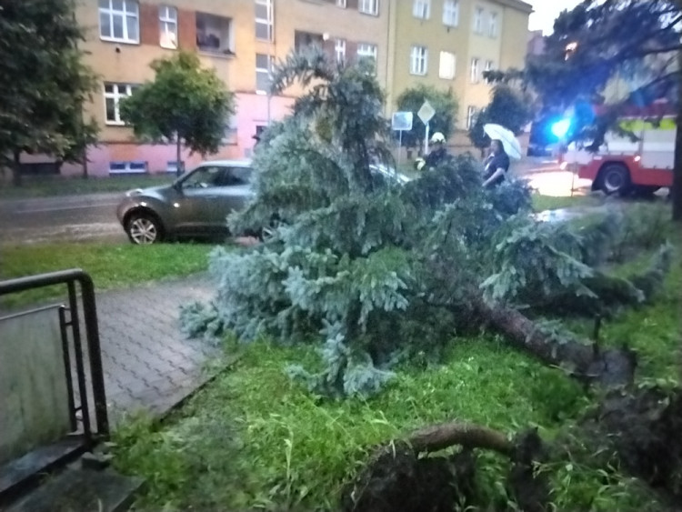 FOTOGALERIE: Pásmo bouřek způsobilo škody v Olomouckém kraji