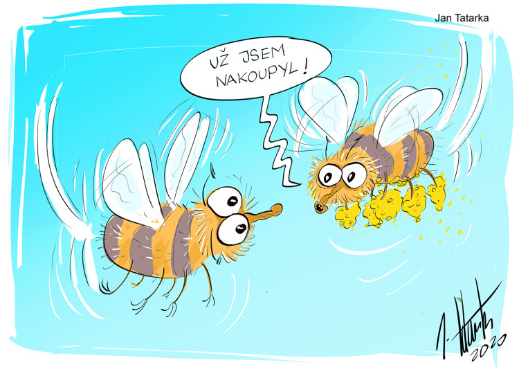 FOTOGALERIE: První v červenci středa, humoru a legrace je třeba