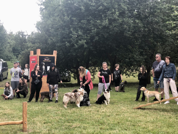 Nové psí hřiště v Jihlavě