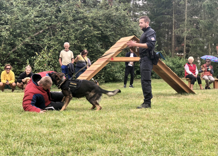 Nové psí hřiště v Jihlavě