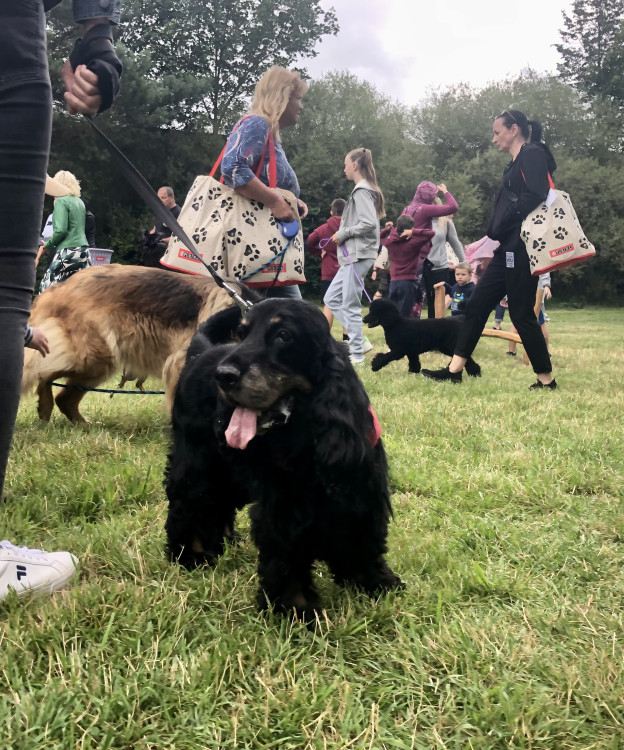 Nové psí hřiště v Jihlavě