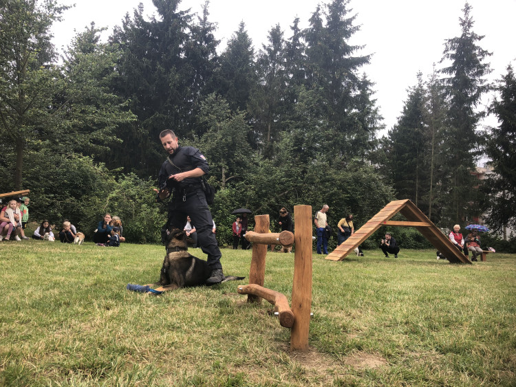 Nové psí hřiště v Jihlavě