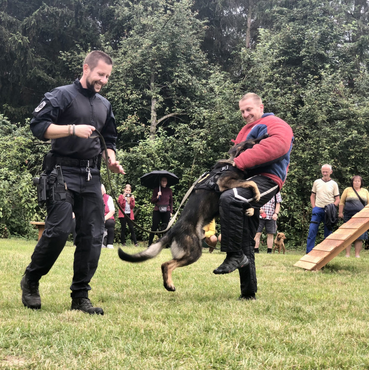 Nové psí hřiště v Jihlavě