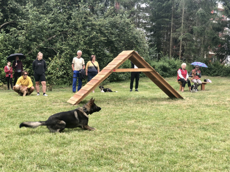 Nové psí hřiště v Jihlavě