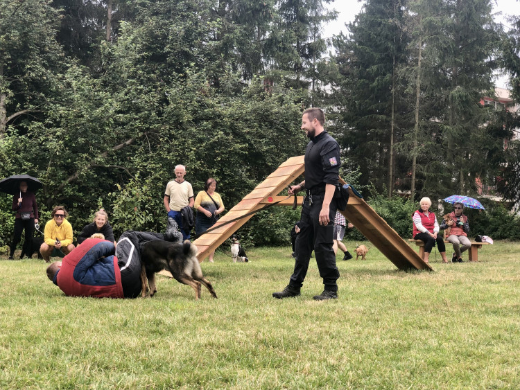 Nové psí hřiště v Jihlavě