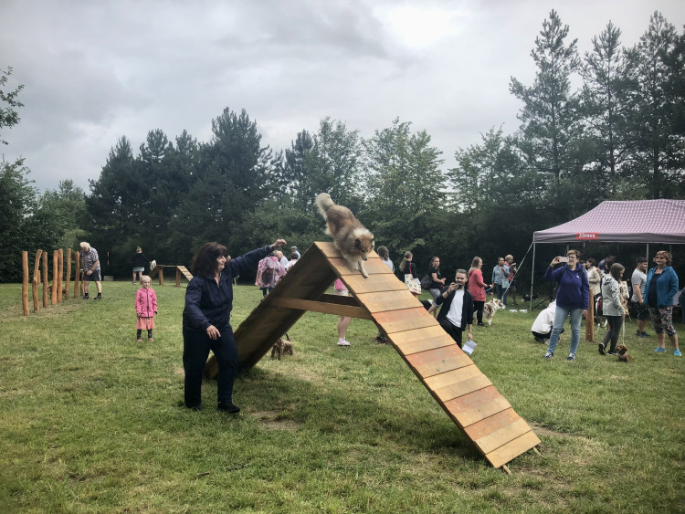 Nové psí hřiště v Jihlavě