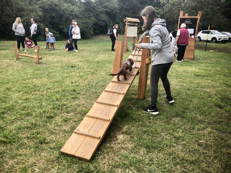 Nové psí hřiště v Jihlavě