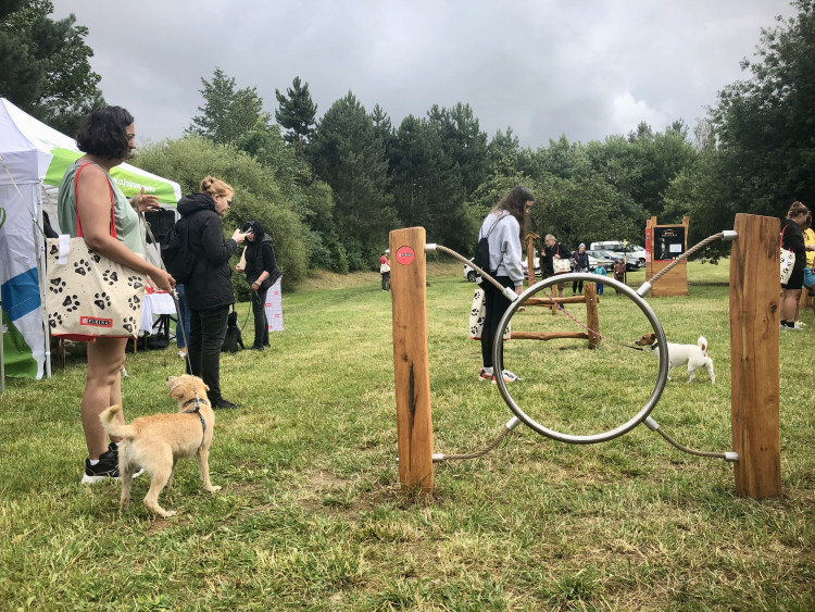 Nové psí hřiště v Jihlavě