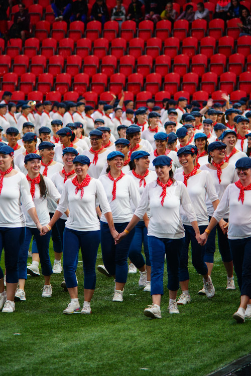 FOTOGALERIE: Prapor od prezidenta, déšť a plný Eden. Podívejte se, jak vypadala první hromadná skladba všesokolského sletu