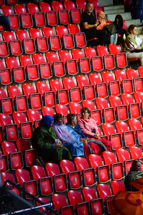FOTOGALERIE: Prapor od prezidenta, déšť a plný Eden. Podívejte se, jak vypadala první hromadná skladba všesokolského sletu