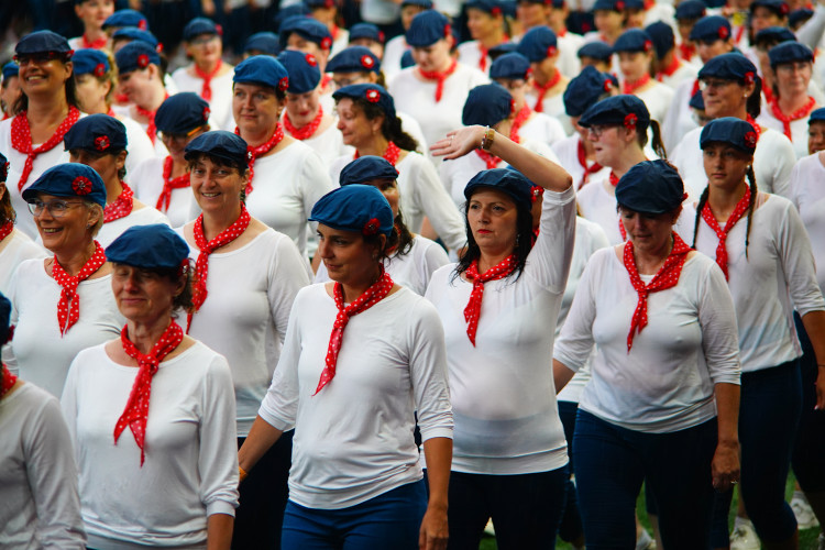 FOTOGALERIE: Prapor od prezidenta, déšť a plný Eden. Podívejte se, jak vypadala první hromadná skladba všesokolského sletu