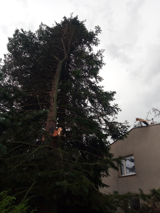 GALERIE: Bouřky v Královéhradeckém kraji (10.7.2024)