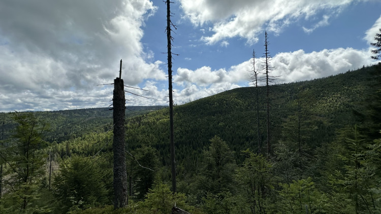 FOTOGALERIE: Výstup na Roklan, druhá nejvyšší hora Šumavy a Českého lesa
