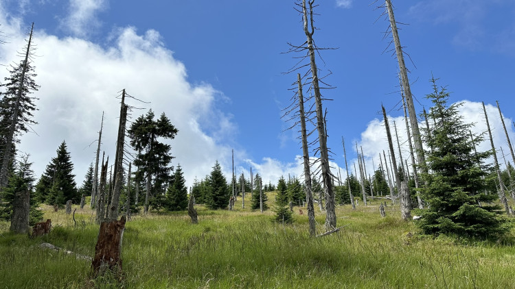 FOTOGALERIE: Výstup na Roklan, druhá nejvyšší hora Šumavy a Českého lesa