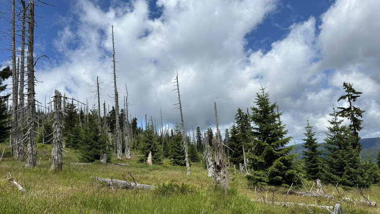 FOTOGALERIE: Výstup na Roklan, druhá nejvyšší hora Šumavy a Českého lesa