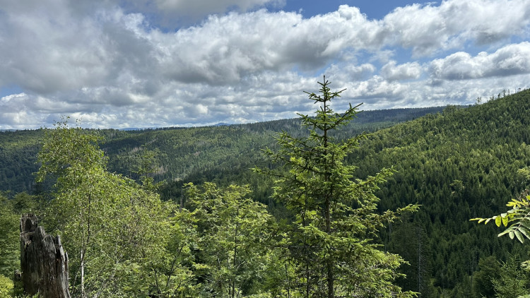 FOTOGALERIE: Výstup na Roklan, druhá nejvyšší hora Šumavy a Českého lesa