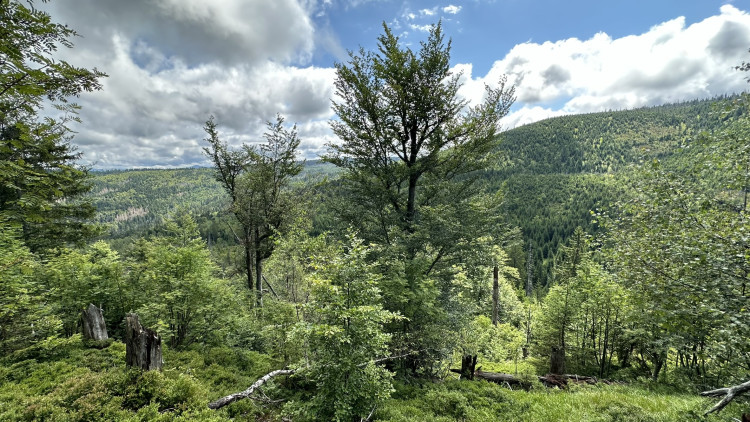 FOTOGALERIE: Výstup na Roklan, druhá nejvyšší hora Šumavy a Českého lesa