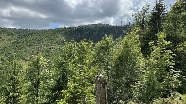 FOTOGALERIE: Výstup na Roklan, druhá nejvyšší hora Šumavy a Českého lesa