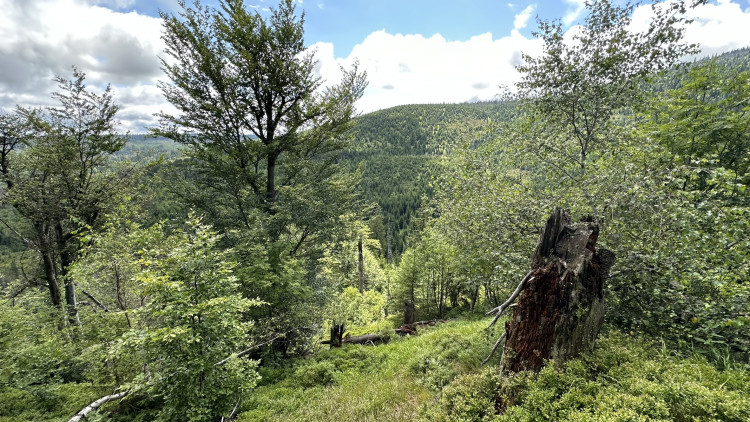 FOTOGALERIE: Výstup na Roklan, druhá nejvyšší hora Šumavy a Českého lesa