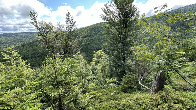 FOTOGALERIE: Výstup na Roklan, druhá nejvyšší hora Šumavy a Českého lesa