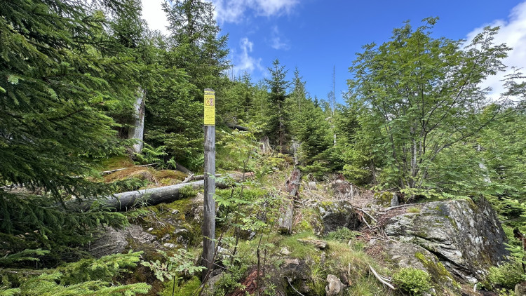 FOTOGALERIE: Výstup na Roklan, druhá nejvyšší hora Šumavy a Českého lesa