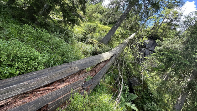 FOTOGALERIE: Výstup na Roklan, druhá nejvyšší hora Šumavy a Českého lesa
