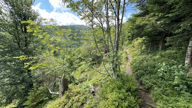 FOTOGALERIE: Výstup na Roklan, druhá nejvyšší hora Šumavy a Českého lesa