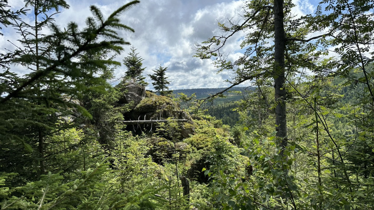 FOTOGALERIE: Výstup na Roklan, druhá nejvyšší hora Šumavy a Českého lesa