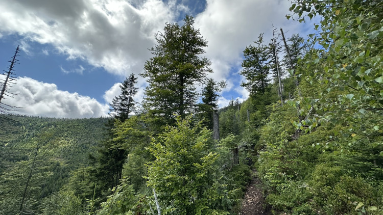 FOTOGALERIE: Výstup na Roklan, druhá nejvyšší hora Šumavy a Českého lesa