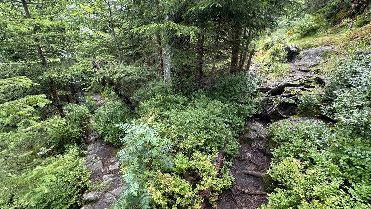 FOTOGALERIE: Výstup na Roklan, druhá nejvyšší hora Šumavy a Českého lesa
