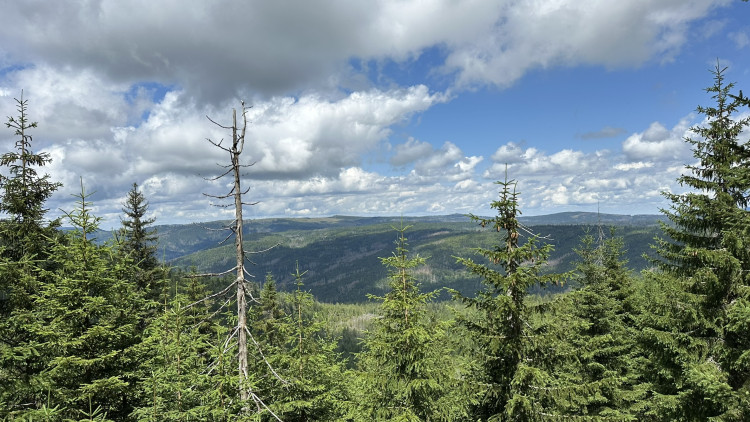 Výhled na Poledník