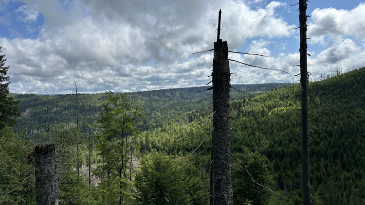 FOTOGALERIE: Výstup na Roklan, druhá nejvyšší hora Šumavy a Českého lesa