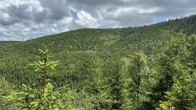 FOTOGALERIE: Výstup na Roklan, druhá nejvyšší hora Šumavy a Českého lesa