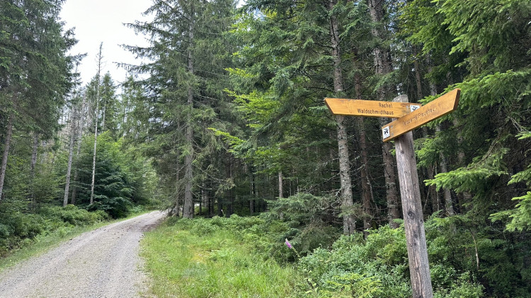 FOTOGALERIE: Výstup na Roklan, druhá nejvyšší hora Šumavy a Českého lesa