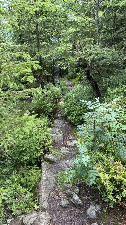 FOTOGALERIE: Výstup na Roklan, druhá nejvyšší hora Šumavy a Českého lesa