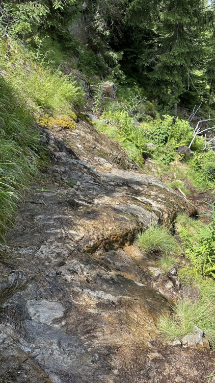 FOTOGALERIE: Výstup na Roklan, druhá nejvyšší hora Šumavy a Českého lesa
