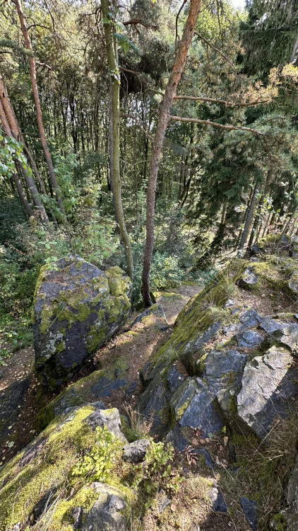 FOTOGALERIE: Buddhistická stúpa v Těnovicích a Těnovická skála