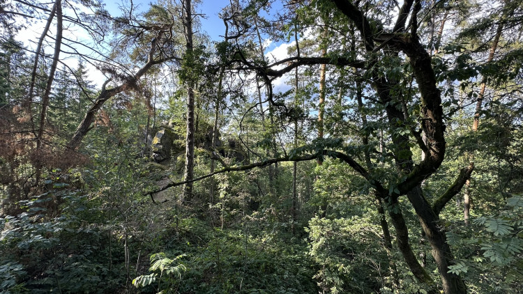 FOTOGALERIE: Buddhistická stúpa v Těnovicích a Těnovická skála