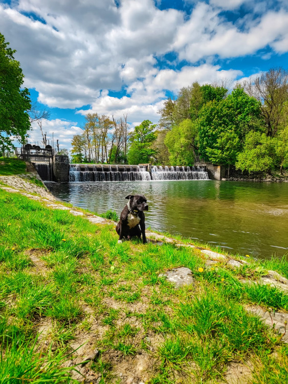 FOTOGALERIE: Okruh Pomoravím má deset kilometrů, je pro děti i maminky s kočárkem